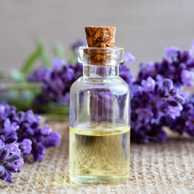 4 Essential Oils to Keep Ticks and Fleas Away