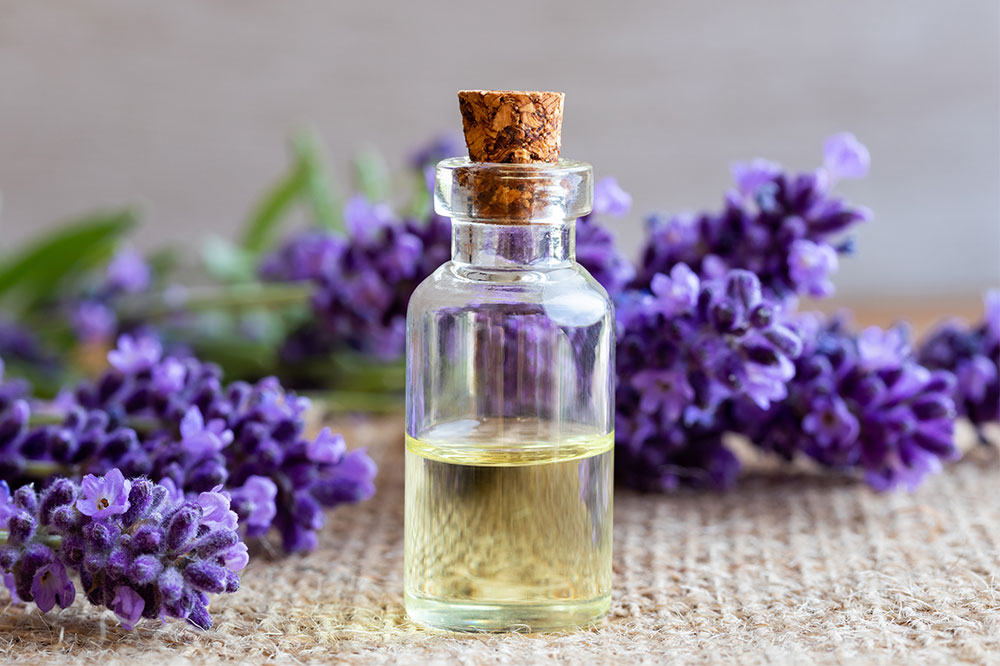 4 Essential Oils to Keep Ticks and Fleas Away