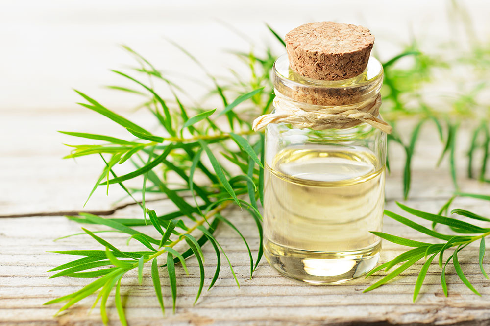 6 Essential Oils to Control Dandruff