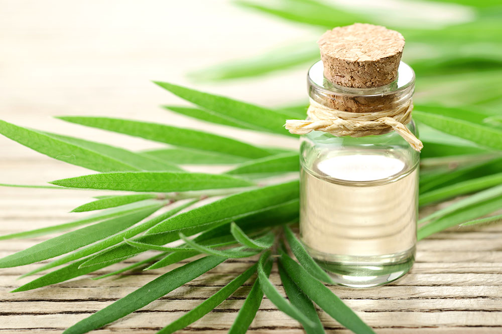 Natural Remedies for Nasal Polyps