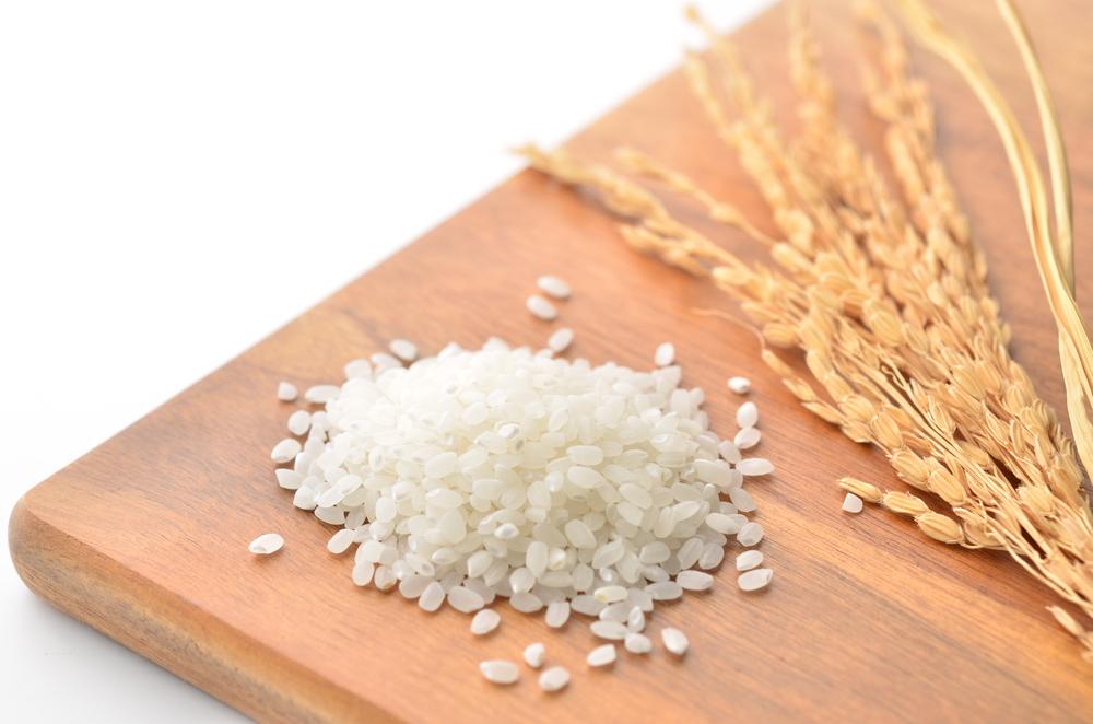 10 Human Foods That Are Safe For Dogs To Eat