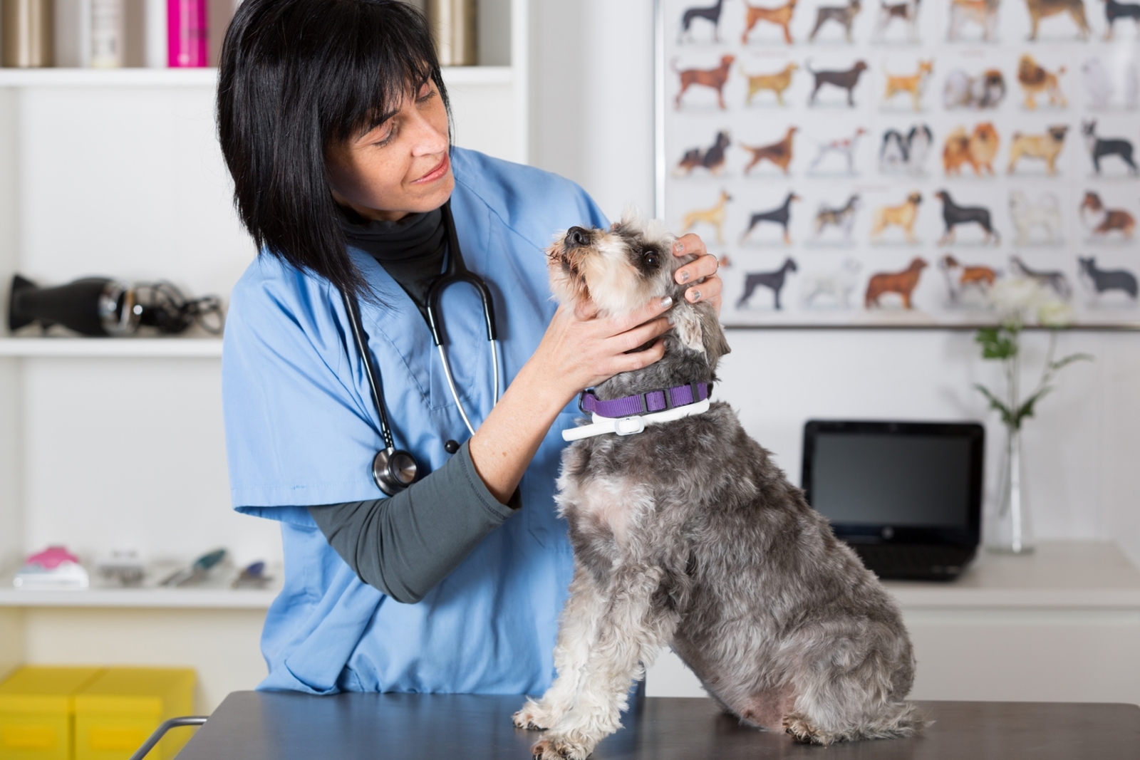 How Often Should Pets Get Dewormed? The Answer Might Surprise You
